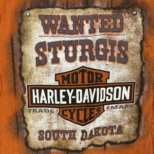 Harley Sturgis South Dakota Sz L T Shirt